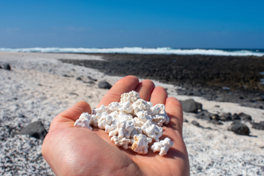 Wei&szlig;e Steine liegen auf einer offenen Hand, die aussehen wie Popcorn, im Hintergrund das Meer